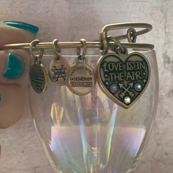 Alex and Ani: Love Is In The Air Bracelet - Picture 2 of 3